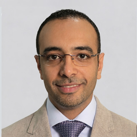 Mr. Abdulla Ellaithy